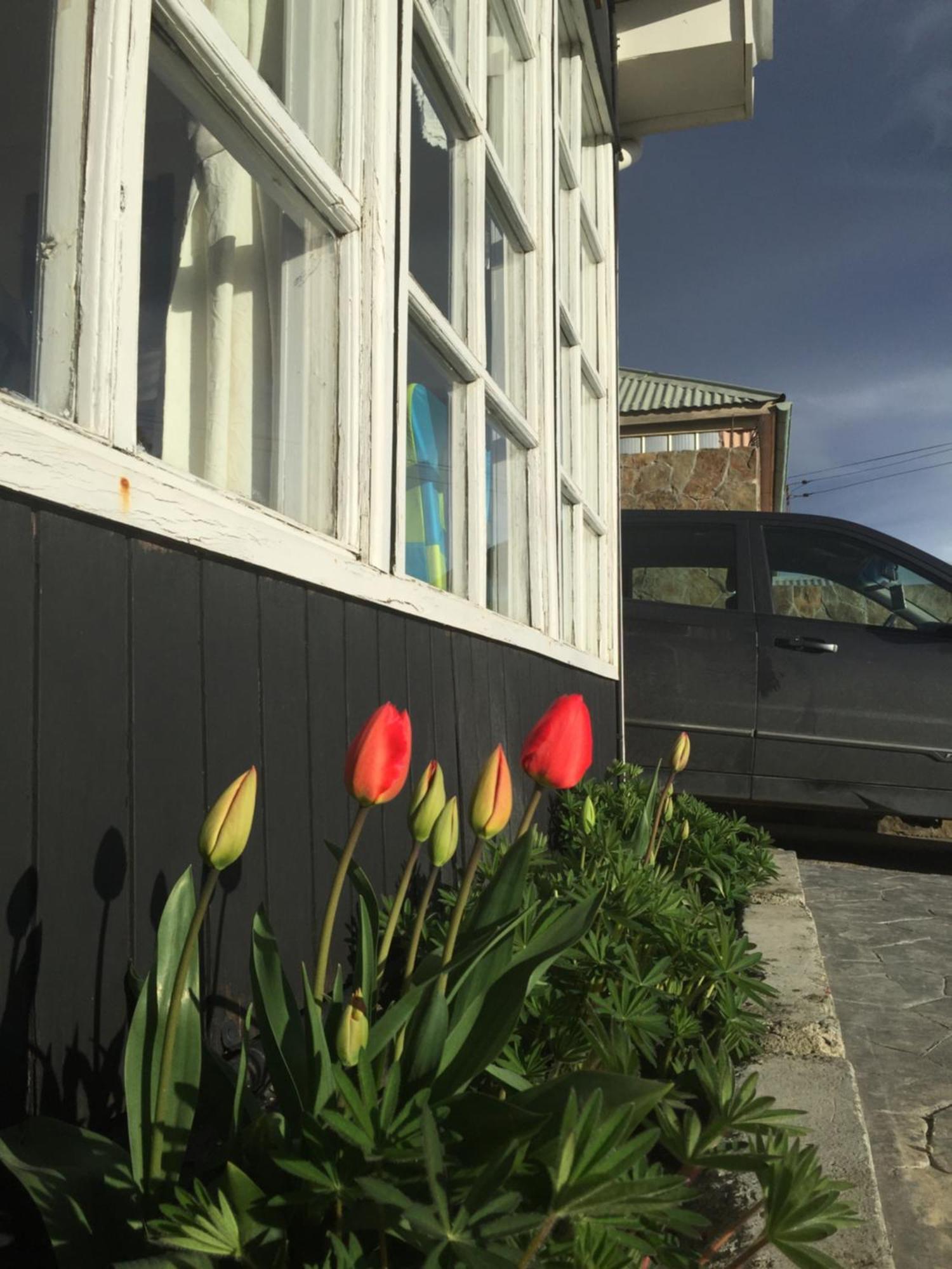 Big Bang Patagonia - Traveler Assistance Bed & Breakfast ปวยร์โตนาตาเลส ภายนอก รูปภาพ